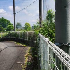 行田学校スタジオ西側フェンス周り・はみ出し枝を伐採・撤去