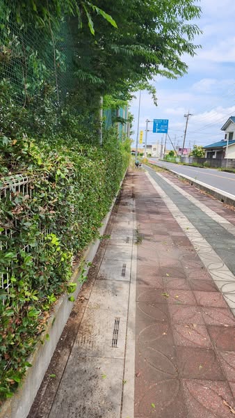 行田学校スタジオ南側フェンス周り・はみ出し枝を伐採・撤去・東京都・埼玉県・千葉県・茨城県・関東圏・ＣＭ撮影・映画撮影・ミュージックビデオ撮影・再現ドラマ撮影・コスプレイベント・コスプレ撮影・YouTube撮影・ロケ地・ロケ現場・ハウススタジオ・撮影場所・高校生教室・東京近郊・埼玉県・行田市・レンタルスペース・レンタルスタジオ・