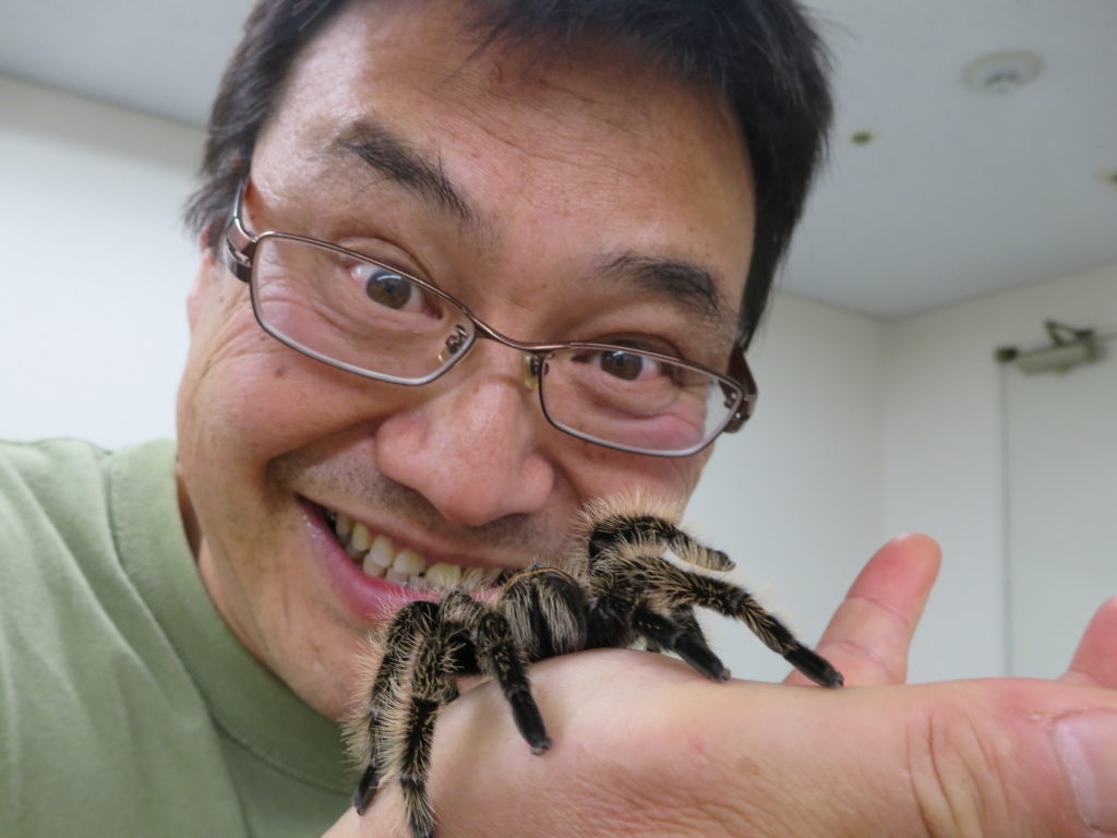 撮影用動物・タランチラー・蜘蛛
