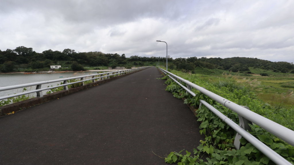 まるまる撮影で使える学校スタジオの付近の撮影スポット・つくし胡周辺