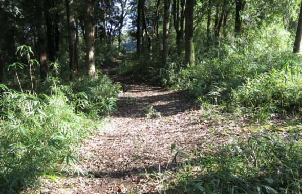 ロケーションコーデネート・撮影場所探し・山道・ハイキング・昭和でレトロなアパートスタジオ近隣・ハウススタジオ・アトリエミカミ・東京近郊