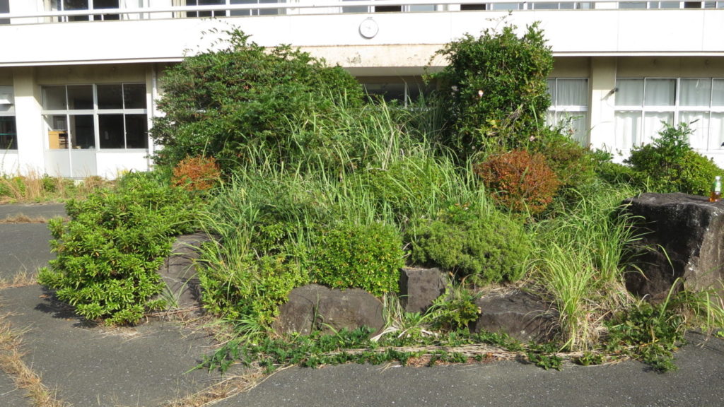 まるごと撮影で使える学校スタジオ・正面玄関前・植木・校歌石碑・雑草駆除・メンテナンス