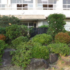 まるごと撮影で使える学校スタジオ・正面玄関前・植木・校歌石碑・雑草駆除・メンテナンス