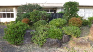 まるごと撮影で使える学校スタジオ・正面玄関前・植木・校歌石碑・雑草駆除・メンテナンス