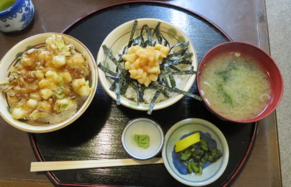 動物調達・食事・昼飯・富津市・しのざき・公園食堂・ロケハン・動物リサーチ・海洋生物・