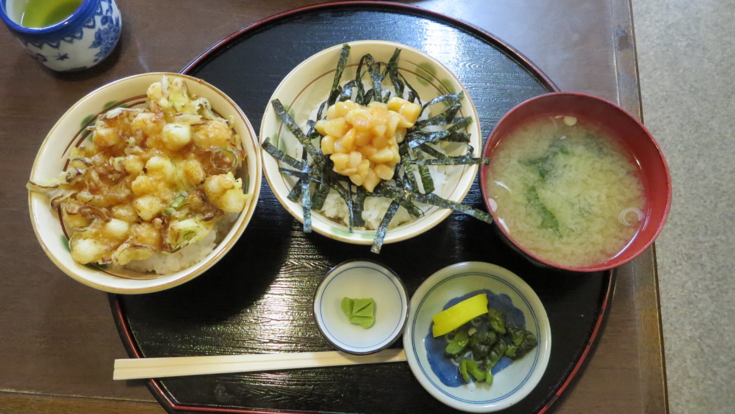 動物調達・食事・昼飯・富津市・しのざき・公園食堂・ロケハン・動物リサーチ・海洋生物・