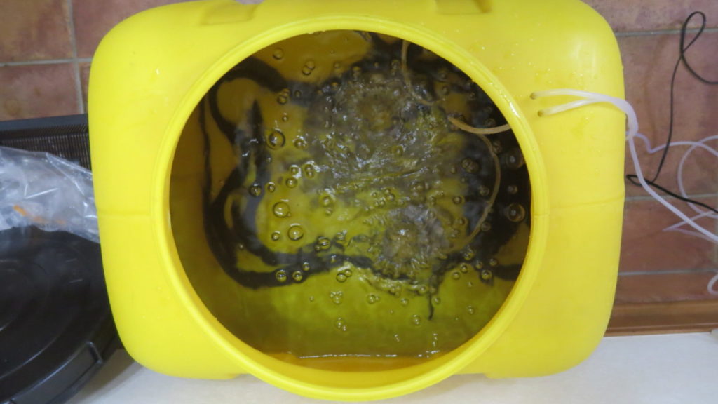 鰻撮影・うなぎ・国産・輸送・スタジオ・活魚