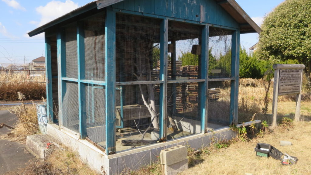 まるごと撮影できちゃう学校スタジオ・飼育小屋・飼育委員・学校庭・復元・動物飼育・小鳥・ウサギ・鳥小屋・撮影用