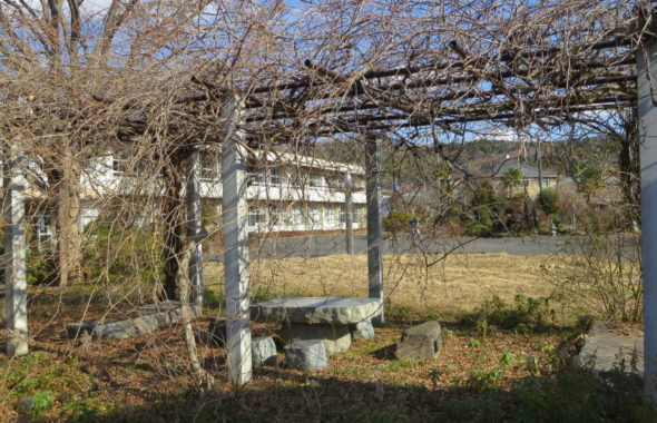 まるごと撮影できちゃう学校スタジオ・庭・ベンチ・休憩スペース・藤棚・整備予定