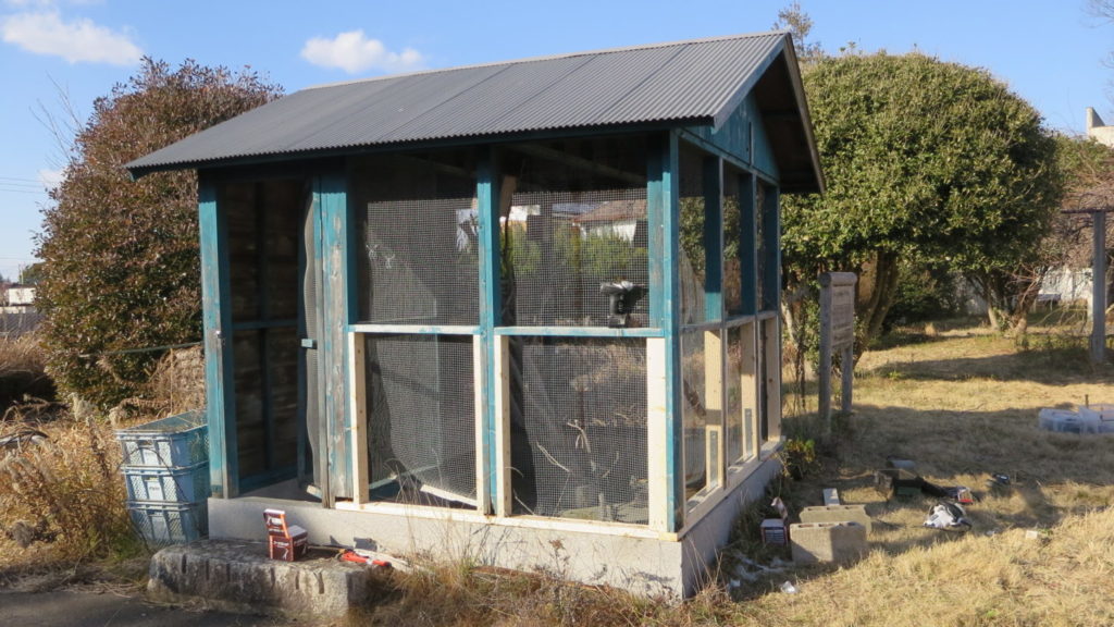 まるごと撮影できちゃう学校スタジオ・飼育小屋・飼育委員・学校庭・復元・動物飼育・小鳥・ウサギ・鳥小屋・撮影用