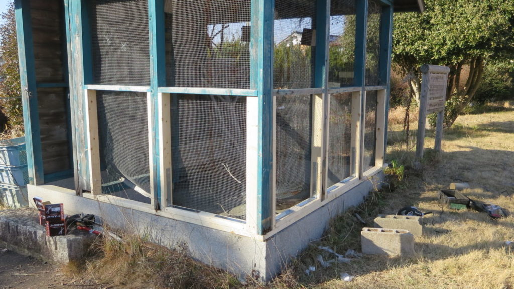 まるごと撮影できちゃう学校スタジオ・飼育小屋・飼育委員・学校庭・復元・動物飼育・小鳥・ウサギ・鳥小屋・撮影用