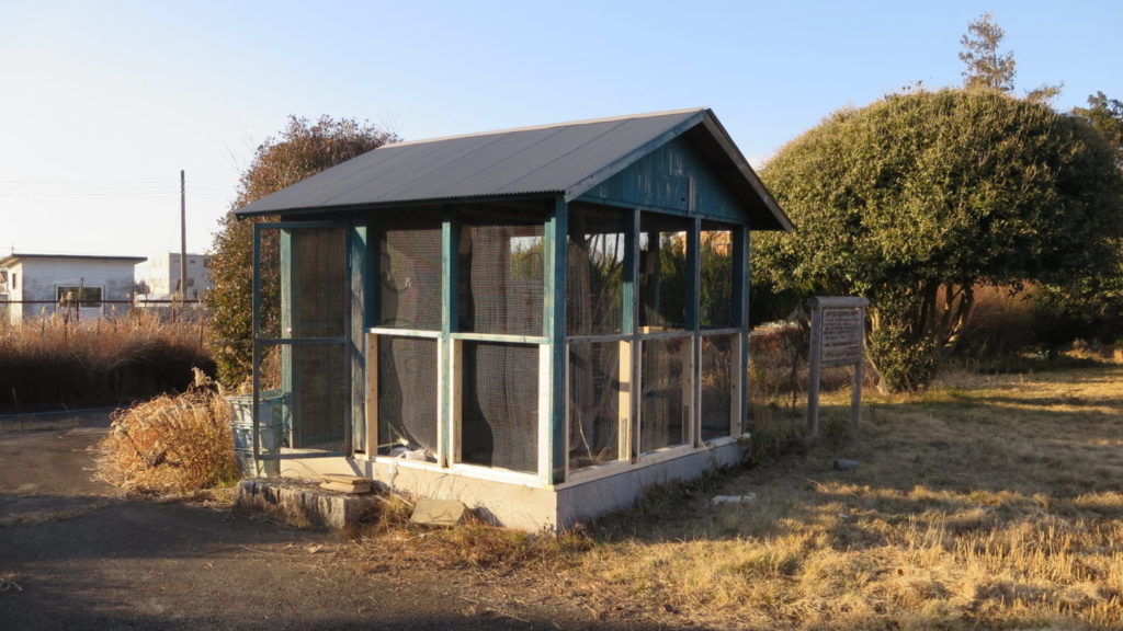まるごと撮影できちゃう学校スタジオ・飼育小屋・飼育委員・学校庭・復元・動物飼育・小鳥・ウサギ・鳥小屋・撮影用
