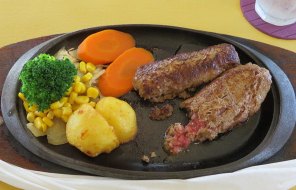 桜川市・真壁町・食事処・レストラン・ペンギン・ハンバーグ・まるごと撮影できちゃう学校スタジオ・近隣・アトリエミカミのハウススタジオ近郊