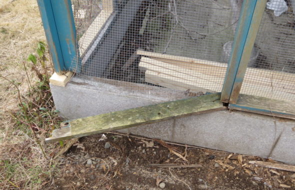 いろいろ撮影できちゃう学校スタジオ・飼育小屋・鳥小屋・飼育委員・修理・復元