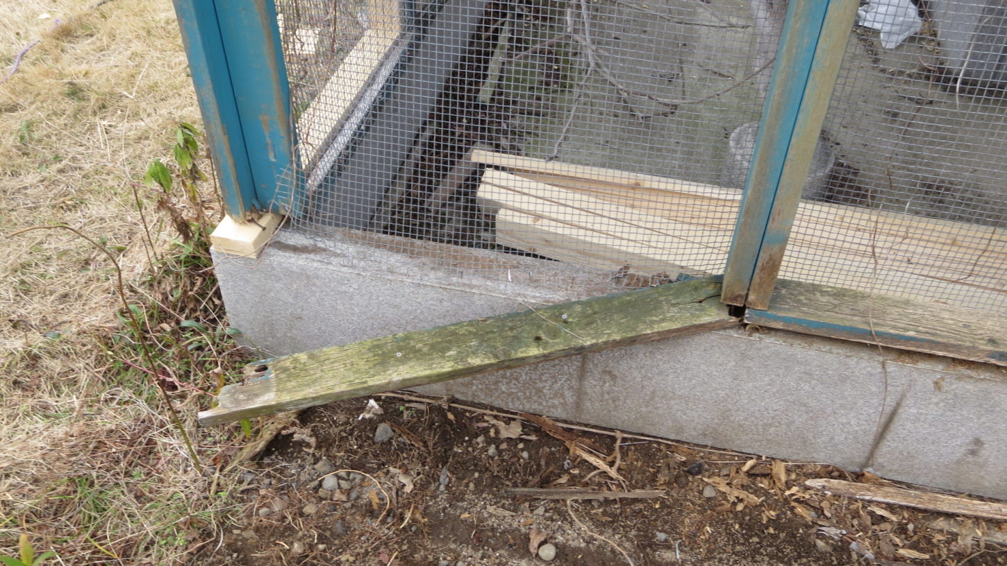 いろいろ撮影できちゃう学校スタジオ・飼育小屋・鳥小屋・飼育委員・修理・復元