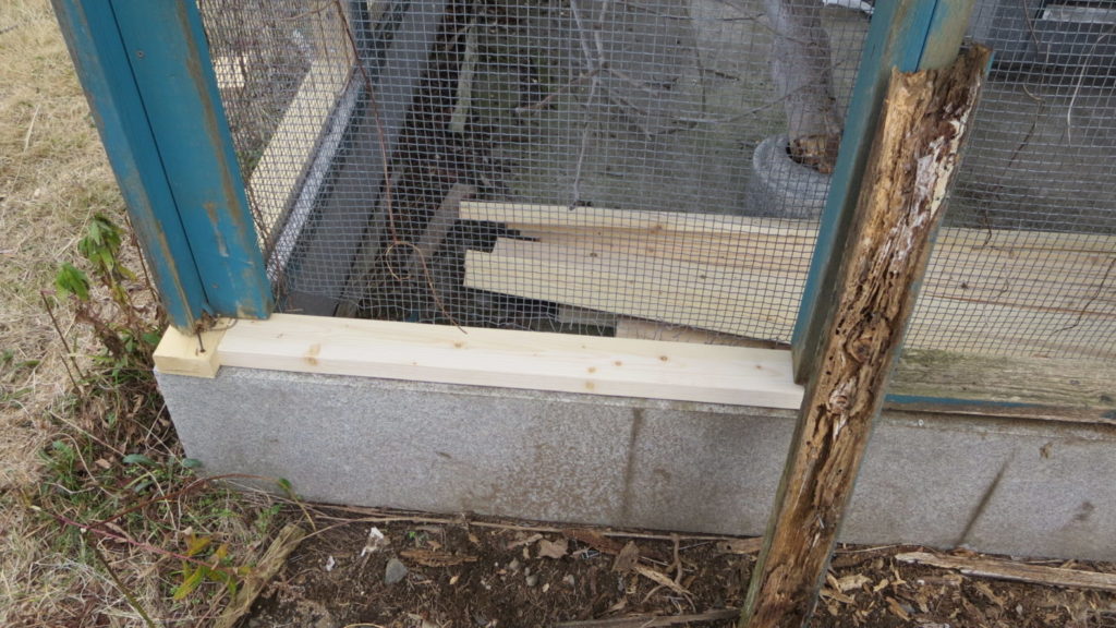 いろいろ撮影できちゃう学校スタジオ・飼育小屋・鳥小屋・飼育委員・修理・復元
