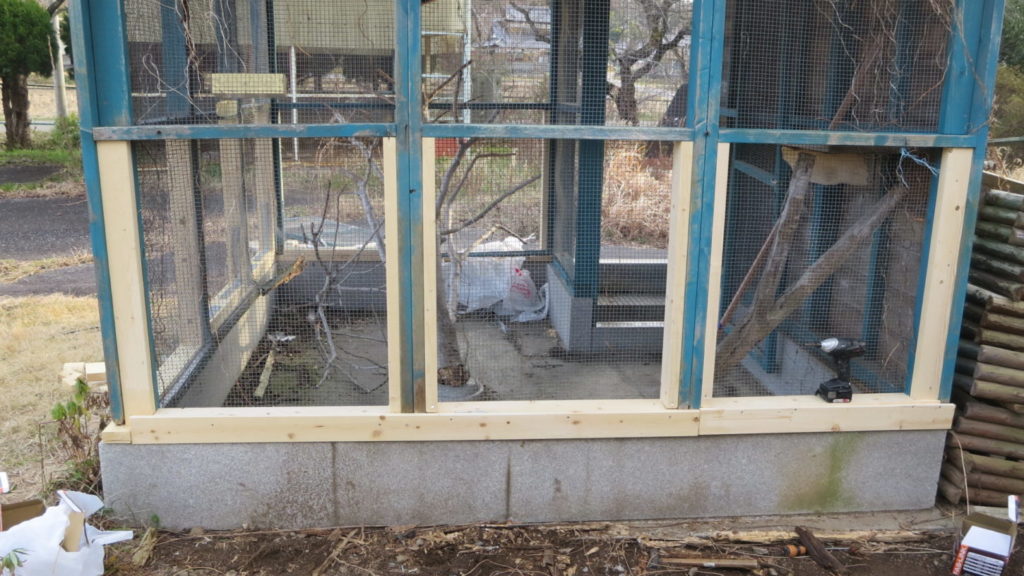 いろいろ撮影できちゃう学校スタジオ・飼育小屋・鳥小屋・飼育委員・修理・復元