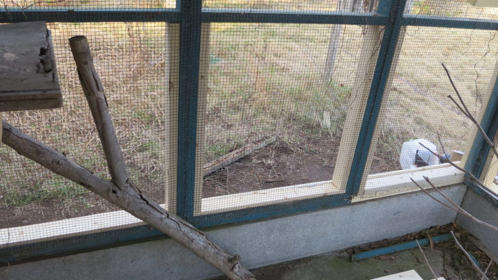 いろいろ撮影できちゃう学校スタジオ・飼育小屋・鳥小屋・飼育委員・修理・復元
