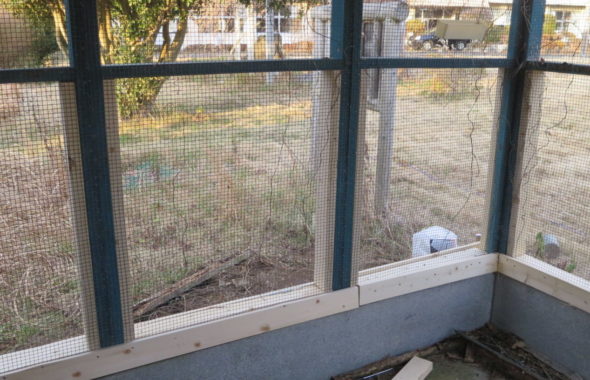 いろいろ撮影できちゃう学校スタジオ・飼育小屋・鳥小屋・飼育委員・修理・復元