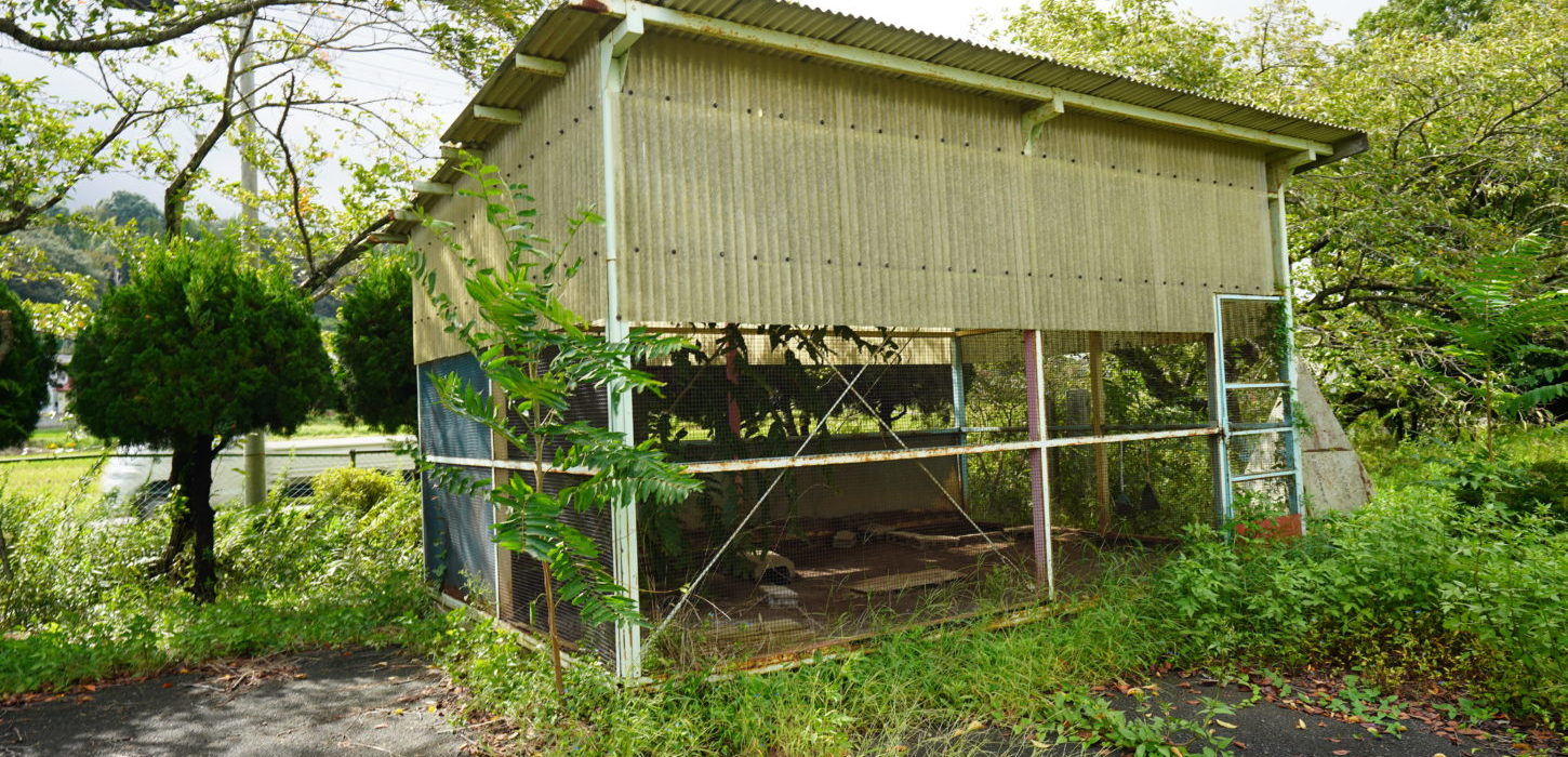 撮影で使える学校スタジオ・飼育小屋・東京近郊・ロケ地