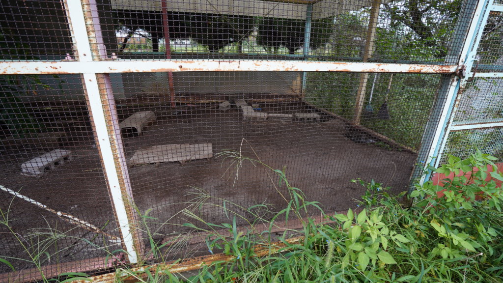 撮影で使える学校スタジオ・飼育小屋・東京近郊・ロケ地