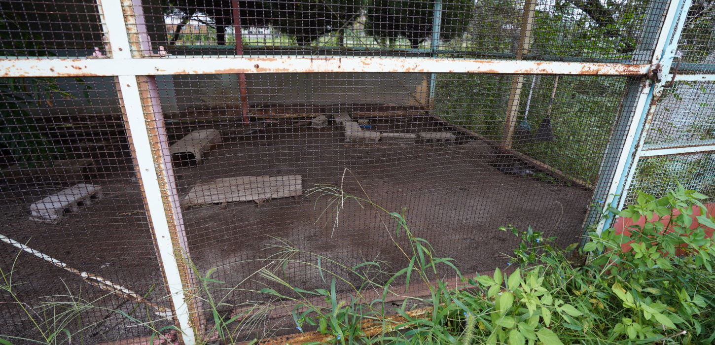 撮影で使える学校スタジオ・飼育小屋・東京近郊・ロケ地