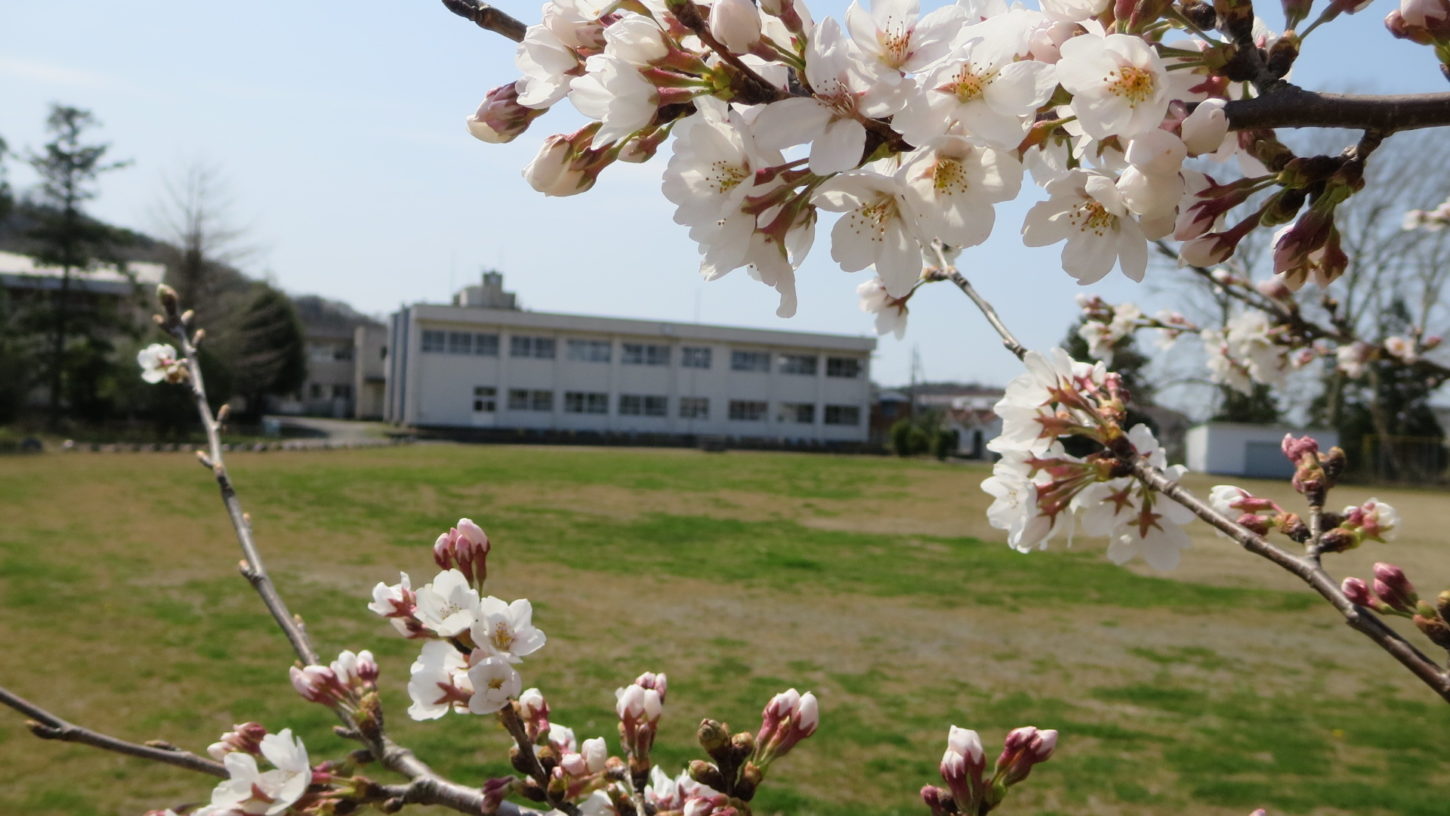 いろいろ撮影できちゃう学校スタジオで撮影・第2校舎・春・桜咲く・校庭から