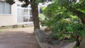 登録有形文化財の橋本旅館スタジオの新館前の庭・船の形をした石・清掃