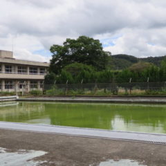 いろいろ撮影できる学校スタジオのプール・撮影・コロナウイルスで使えなくなった・設定・緑色の水にしました。