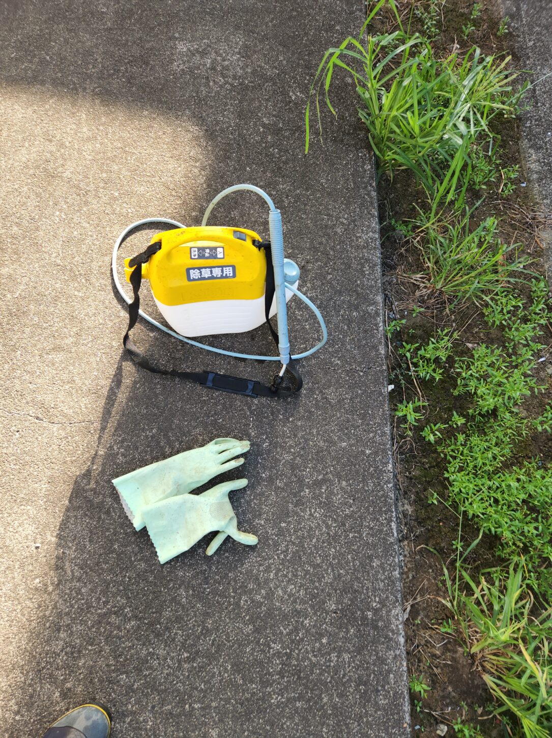 除草剤散布・アパートスタジオ周辺・撮影専用アパート・撮影専用に改造したアパートスタジオ・撮影用電源。壁の取り外し・撮影用物件・ハウススタジオ・レンタルハウス・貸しスタジオ・アトリエミカミ・管理運営・スタジオ料金・映画撮影・ドラマ撮影・再現ドラマ撮影・YouTube撮影・ミュージックビデオ撮影・CM撮影・東京・東京近郊・連続ドラマ撮影・ロケ地・ロケ場所・有名作品・ロケ地巡り・ロケハン・ロケ弁・撮影場所