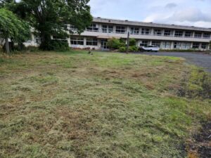 東京近郊の学校スタジオ庭・草刈