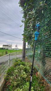 高所枝切り・電動ばさみ・延長棒・東側フェンス周り内側から、行田学校スタジオ・メンテナンス作業・ドラマ撮影・映画撮影・ミュージックビデオ撮影・再現ドラマ・ＣＭ撮影・撮影現場・ロケ現場・聖地巡礼・撮影場所・東京近郊・ロケ弁