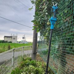 高所枝切り・電動ばさみ・延長棒・東側フェンス周り内側から、行田学校スタジオ・メンテナンス作業・ドラマ撮影・映画撮影・ミュージックビデオ撮影・再現ドラマ・ＣＭ撮影・撮影現場・ロケ現場・聖地巡礼・撮影場所・東京近郊・ロケ弁