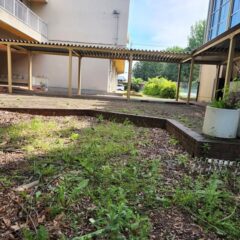 行田の学校スタジオの次に綺麗にしたい場所は、中庭・渡り廊下付近です