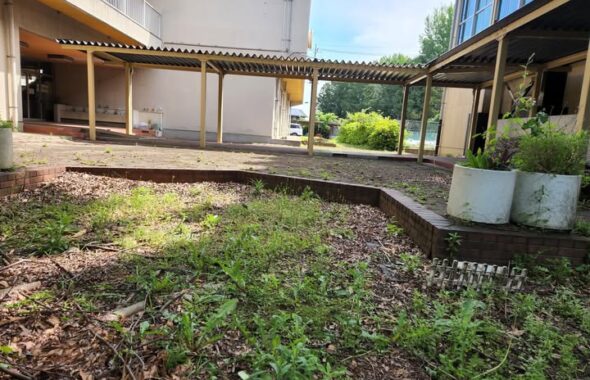 行田の学校スタジオの次に綺麗にしたい場所は、中庭・渡り廊下付近です