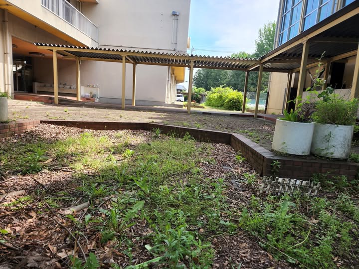 行田の学校スタジオの次に綺麗にしたい場所は、中庭・渡り廊下付近です