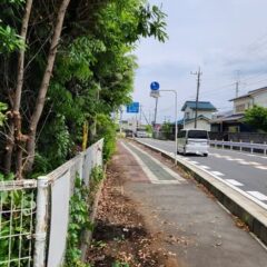 行田学校スタジオ南側フェンス周りのはみ出した枝の伐採