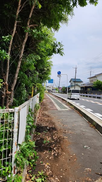 行田学校スタジオ南側フェンス周りのはみ出した枝の伐採