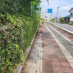 行田学校スタジオ南側フェンス周り・はみ出し枝を伐採・撤去・東京都・埼玉県・千葉県・茨城県・関東圏・ＣＭ撮影・映画撮影・ミュージックビデオ撮影・再現ドラマ撮影・コスプレイベント・コスプレ撮影・YouTube撮影・ロケ地・ロケ現場・ハウススタジオ・撮影場所・高校生教室・東京近郊・埼玉県・行田市・レンタルスペース・レンタルスタジオ・