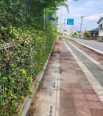 行田学校スタジオ南側フェンス周り・はみ出し枝を伐採・撤去・東京都・埼玉県・千葉県・茨城県・関東圏・ＣＭ撮影・映画撮影・ミュージックビデオ撮影・再現ドラマ撮影・コスプレイベント・コスプレ撮影・YouTube撮影・ロケ地・ロケ現場・ハウススタジオ・撮影場所・高校生教室・東京近郊・埼玉県・行田市・レンタルスペース・レンタルスタジオ・