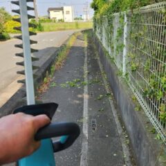 行田学校スタジオ東側フェンス周り・はみ出し枝を伐採・電動ヘッジトリマー・撤去・東京都・埼玉県・千葉県・茨城県・関東圏・ＣＭ撮影・映画撮影・ミュージックビデオ撮影・再現ドラマ撮影・コスプレイベント・コスプレ撮影・YouTube撮影・ロケ地・ロケ現場・ハウススタジオ・撮影場所・高校生教室・東京近郊・埼玉県・行田市・レンタルスペース・レンタルスタジオ・ヘッジトリマー・バリカン・電動工具・アトリエミカミ管理運営・メインロケハン・ロケハン・オールスタッフロケハン・下見・ロケ弁・ロケ地・ロケ場所郊・学校名看板撮影・撮影場所・撮影地・アトリエミカミ撮影場所管理物件・学校ロケ場所・学校ロケ地・学校・高校スタジオ・ミュージックビデオ撮影・映画撮影・ドラマ撮影・再現ドラマ撮影・YouTube撮影・コスプレ撮影・レンタルスタジオ・貸しスタジオ・ハウススタジオ・撮影場所・ロケ地・ロケ場所・アトリエミカミ管理運営・メインロケハン・ロケハン・オールスタッフロケハン・下見・ロケ弁・ロケ地・ロケ場所郊・学校名看板撮影・撮影場所・撮影地・アトリエミカミ撮影場所管理物件・学校ロケ場所・学校ロケ地・学校・高校スタジオ・ロケ弁・日本テレビ・ＴＢＳテレビ・テレビ東京・テレビ朝日・ＮＨＫ・フジテレビ・テレビ大阪・東海テレビ・メーテレ・朝日放送・中京テレビ・名古屋テレビ・北河原高等学校