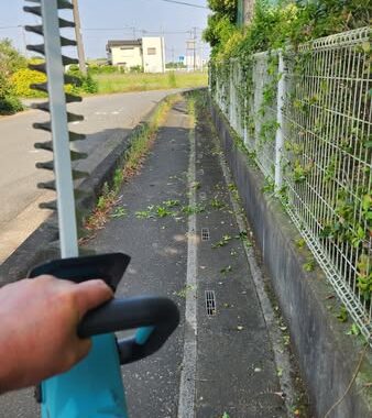 行田学校スタジオ東側フェンス周り・はみ出し枝を伐採・電動ヘッジトリマー・撤去・東京都・埼玉県・千葉県・茨城県・関東圏・ＣＭ撮影・映画撮影・ミュージックビデオ撮影・再現ドラマ撮影・コスプレイベント・コスプレ撮影・YouTube撮影・ロケ地・ロケ現場・ハウススタジオ・撮影場所・高校生教室・東京近郊・埼玉県・行田市・レンタルスペース・レンタルスタジオ・ヘッジトリマー・バリカン・電動工具・アトリエミカミ管理運営・メインロケハン・ロケハン・オールスタッフロケハン・下見・ロケ弁・ロケ地・ロケ場所郊・学校名看板撮影・撮影場所・撮影地・アトリエミカミ撮影場所管理物件・学校ロケ場所・学校ロケ地・学校・高校スタジオ・ミュージックビデオ撮影・映画撮影・ドラマ撮影・再現ドラマ撮影・YouTube撮影・コスプレ撮影・レンタルスタジオ・貸しスタジオ・ハウススタジオ・撮影場所・ロケ地・ロケ場所・アトリエミカミ管理運営・メインロケハン・ロケハン・オールスタッフロケハン・下見・ロケ弁・ロケ地・ロケ場所郊・学校名看板撮影・撮影場所・撮影地・アトリエミカミ撮影場所管理物件・学校ロケ場所・学校ロケ地・学校・高校スタジオ・ロケ弁・日本テレビ・ＴＢＳテレビ・テレビ東京・テレビ朝日・ＮＨＫ・フジテレビ・テレビ大阪・東海テレビ・メーテレ・朝日放送・中京テレビ・名古屋テレビ・北河原高等学校