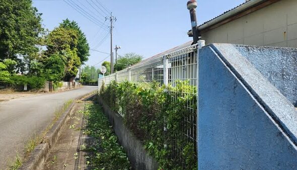 行田学校スタジオ東側フェンス周り・はみ出し枝を伐採・撤去・東京都・埼玉県・千葉県・茨城県・関東圏・ＣＭ撮影・映画撮影・ミュージックビデオ撮影・再現ドラマ撮影・コスプレイベント・コスプレ撮影・YouTube撮影・ロケ地・ロケ現場・ハウススタジオ・撮影場所・高校生教室・東京近郊・埼玉県・行田市・レンタルスペース・レンタルスタジオ・ヘッジトリマー・バリカン・電動工具・アトリエミカミ管理運営・メインロケハン・ロケハン・オールスタッフロケハン・下見・ロケ弁・ロケ地・ロケ場所郊・学校名看板撮影・撮影場所・撮影地・アトリエミカミ撮影場所管理物件・学校ロケ場所・学校ロケ地・学校・高校スタジオ・ミュージックビデオ撮影・映画撮影・ドラマ撮影・再現ドラマ撮影・YouTube撮影・コスプレ撮影・レンタルスタジオ・貸しスタジオ・ハウススタジオ・撮影場所・ロケ地・ロケ場所・アトリエミカミ管理運営・メインロケハン・ロケハン・オールスタッフロケハン・下見・ロケ弁・ロケ地・ロケ場所郊・学校名看板撮影・撮影場所・撮影地・アトリエミカミ撮影場所管理物件・学校ロケ場所・学校ロケ地・学校・高校スタジオ・ロケ弁・日本テレビ・ＴＢＳテレビ・テレビ東京・テレビ朝日・ＮＨＫ・フジテレビ・テレビ大阪・東海テレビ・メーテレ・朝日放送・中京テレビ・名古屋テレビ・北河原高等学校