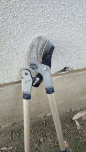 行田学校スタジオ・フェンスメンテナンス・外にはみ出した枝・伐採・エア切狭・スタジオ管理・スタジオメンテナンス・高校・登下校・撮影場所・ドラマ撮影・ミュージックビデオ撮影・YouTube撮影・映画撮影