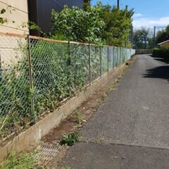 行田学校スタジオ西側フェンスメンテナンス・外にはみ出した枝・伐採・電動へッチトリマー。電動バサミ・スタジオ管理・スタジオメンテナンス・高校・登下校・撮影場所・ドラマ撮影・ミュージックビデオ撮影・YouTube撮影・映画撮影