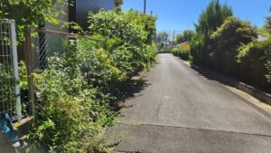 行田学校スタジオ西側フェンスメンテナンス・外にはみ出した枝・伐採・電動へッチトリマー。電動バサミ・スタジオ管理・スタジオメンテナンス・高校・登下校・撮影場所・ドラマ撮影・ミュージックビデオ撮影・YouTube撮影・映画撮影