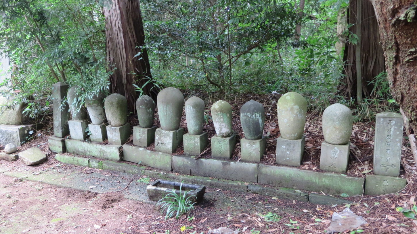 IMG_3386天樹院弘経寺 アクセス抜群の大型撮影スタジオ