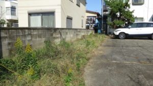 元ビジネスホテルスタジオ・戸建スタジオ・水海道・常総市・草刈り