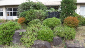 まるごと撮影で使える学校スタジオ・正面玄関前・植木・校歌石碑・雑草駆除・メンテナンス