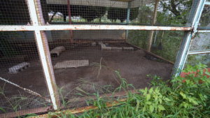 撮影で使える学校スタジオ・飼育小屋・東京近郊・ロケ地